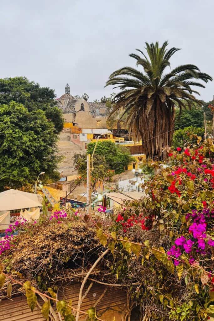 Palme vor historischem Gebäude in Mandyri, Sizilien.