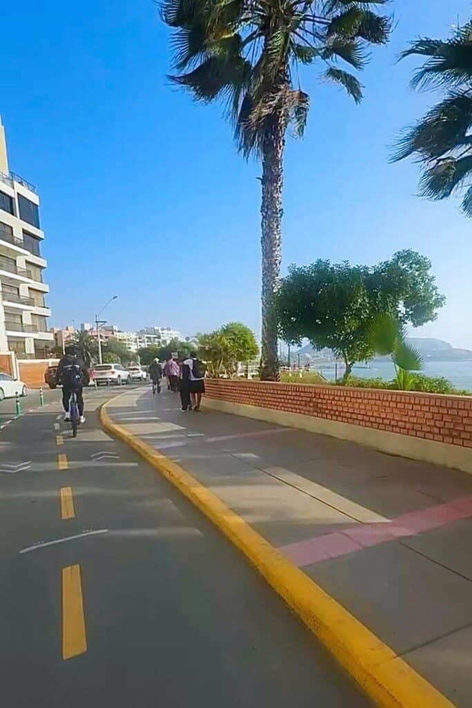 Palmen am Meer in Tijuana, Mexiko.