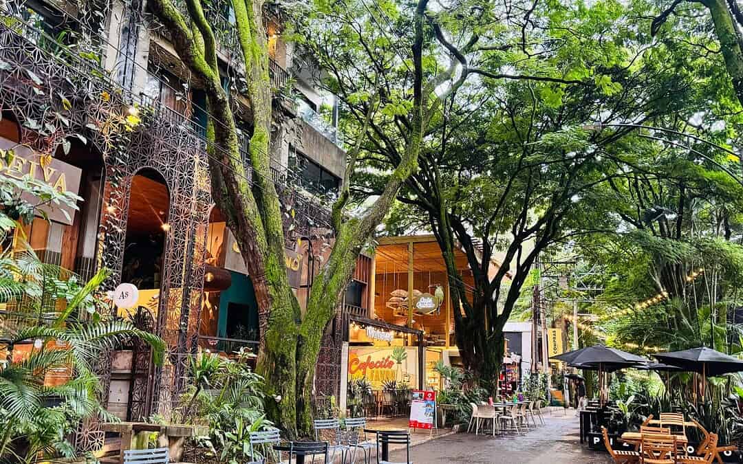 Medellín Kolumbien Guide 2026: Sehenswürdigkeiten, Must-Dos, Viertel & Reisetipps