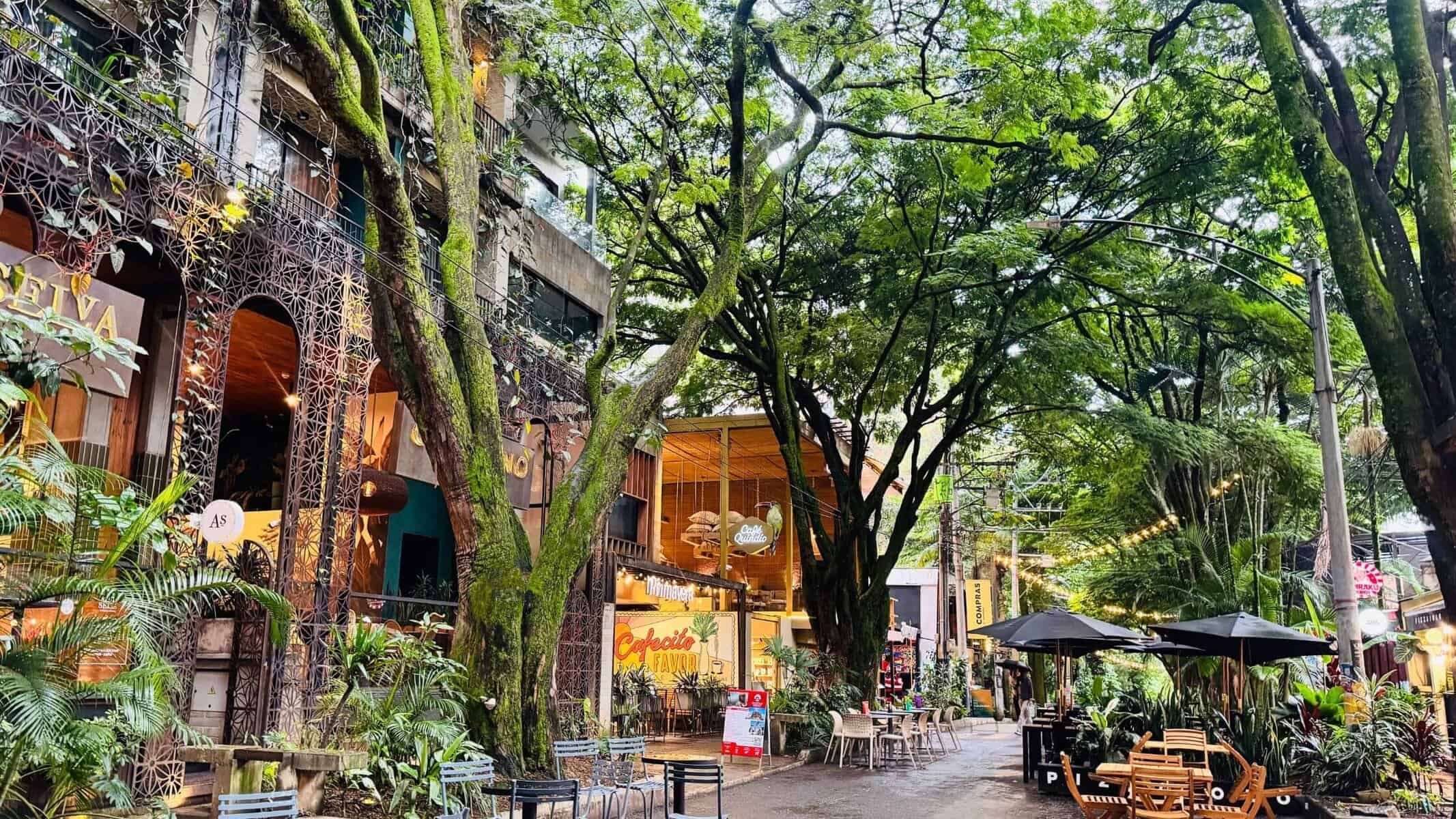 Medellin Kolumbien Travel Guide - El Poblado Provenza Viertel